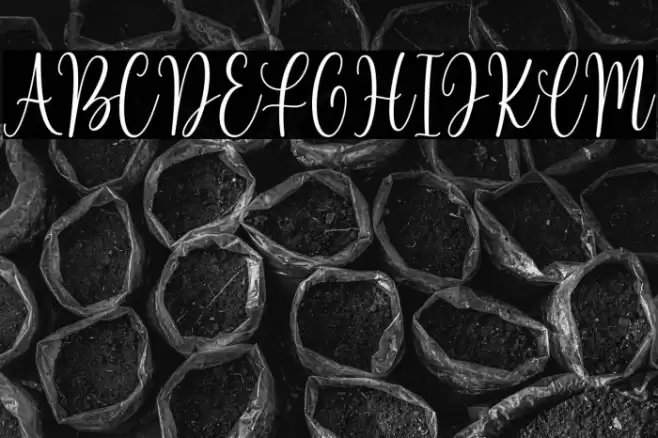 Beloved Matisa Demo Font examples