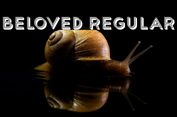 Beloved Regular Example 2