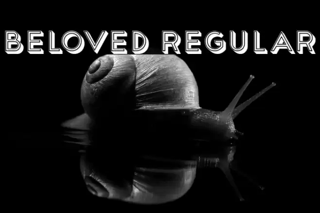 Beloved Regular Font examples