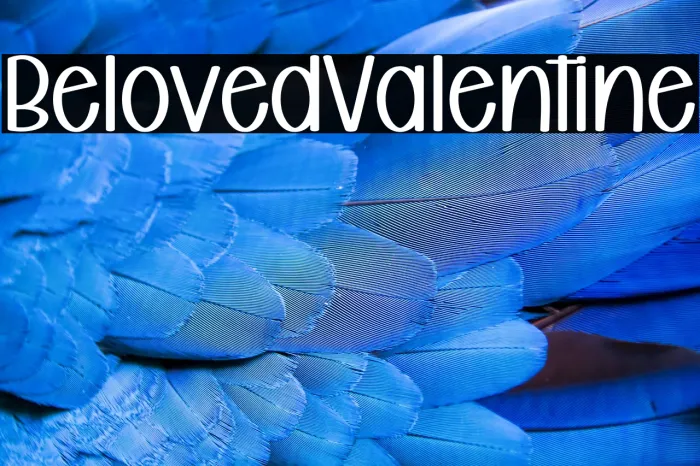 Beloved Valentine Example 3