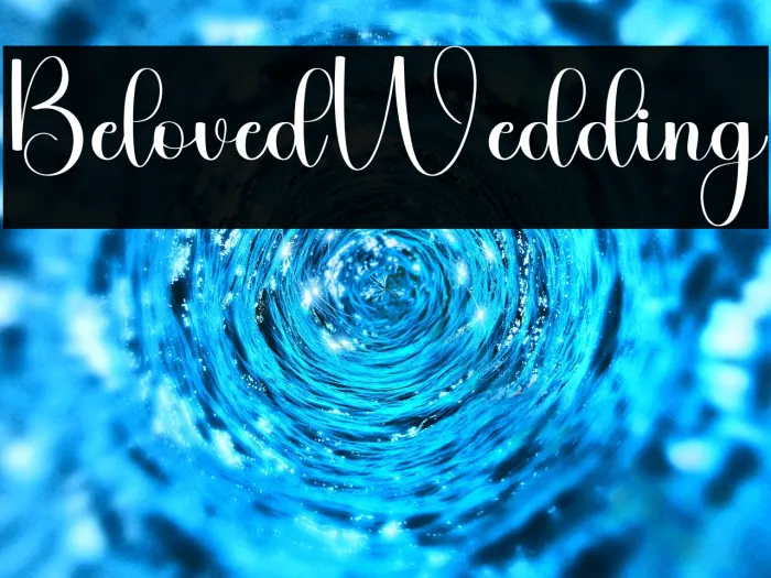 Beloved Wedding Example 3