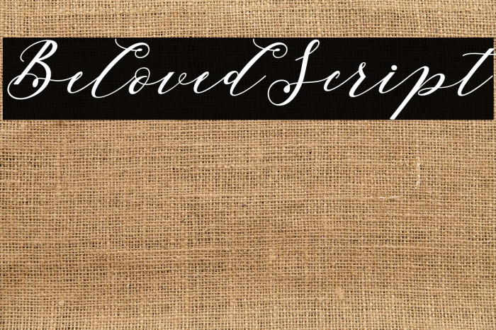 BelovedScript Example 1