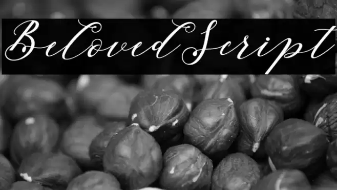 BelovedScript Font examples