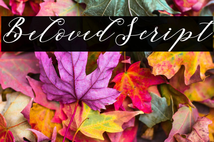 BelovedScript Example 3