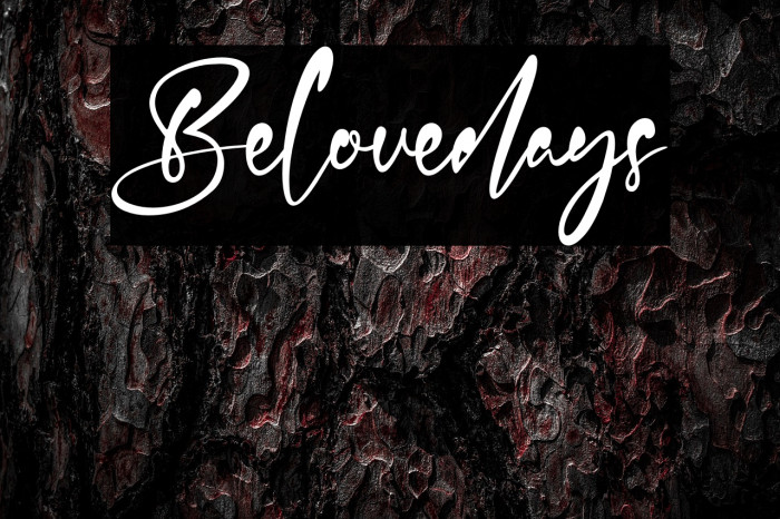 Belovedays Example 1