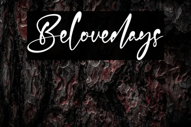 Belovedays Example 1