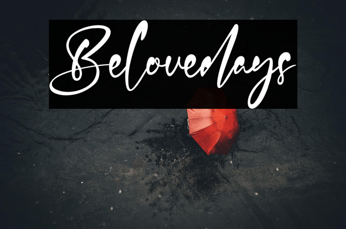 Belovedays Example 2