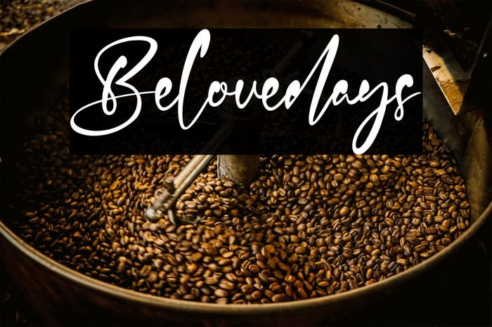 Belovedays Example 1