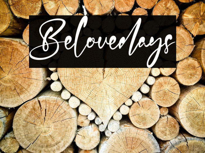 Belovedays Example 3