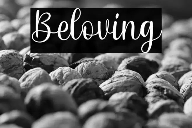 Beloving Font examples