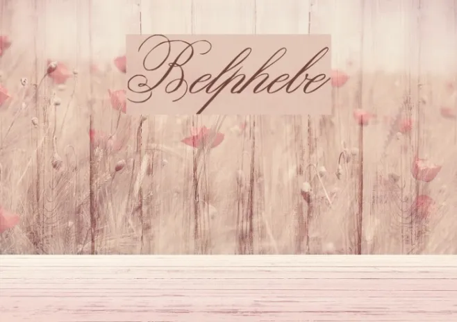 Belphebe Example 2