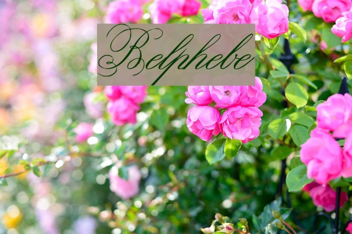 Belphebe Font examples