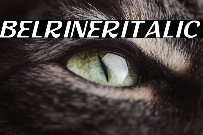 Belriner Italic Example 3