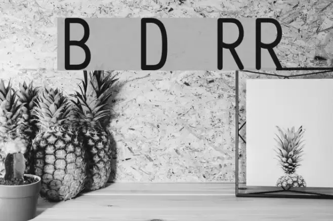 Belshaw Donut RobotRegular Font examples