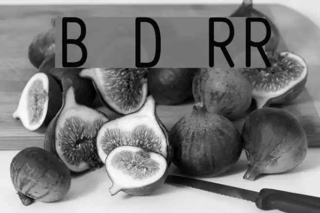 Belshaw Donut RobotRegular Font examples