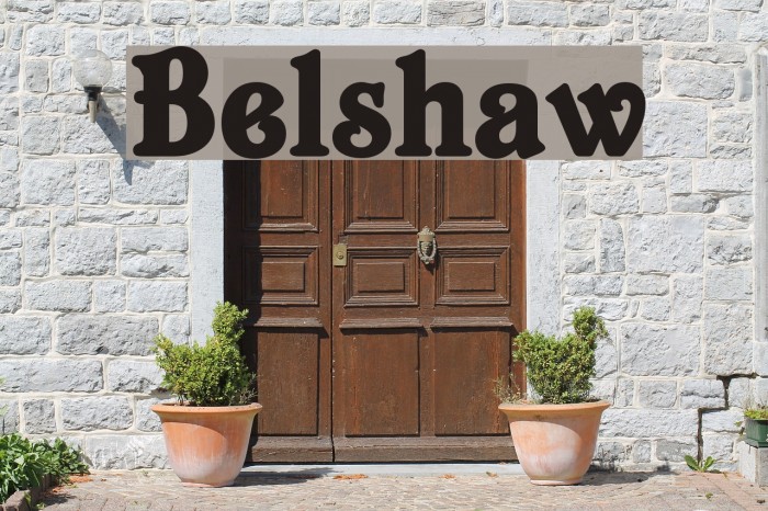 Belshaw Polices examples