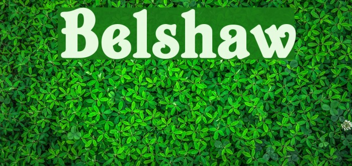 Belshaw Polices examples
