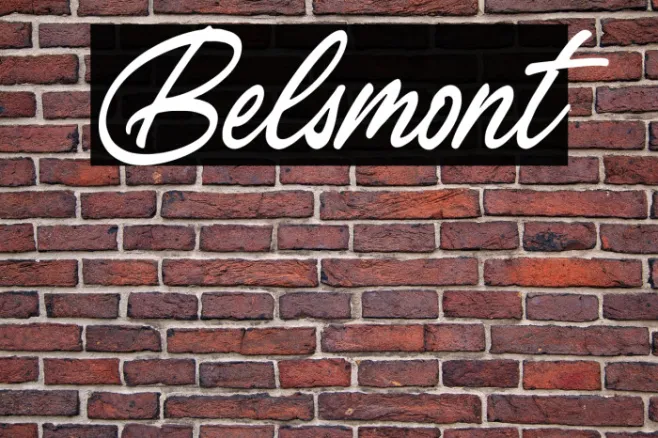 Belsmont Example 2