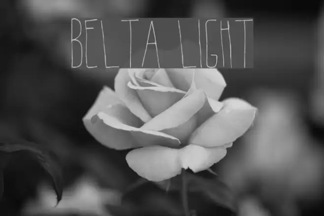 Belta Light Font examples