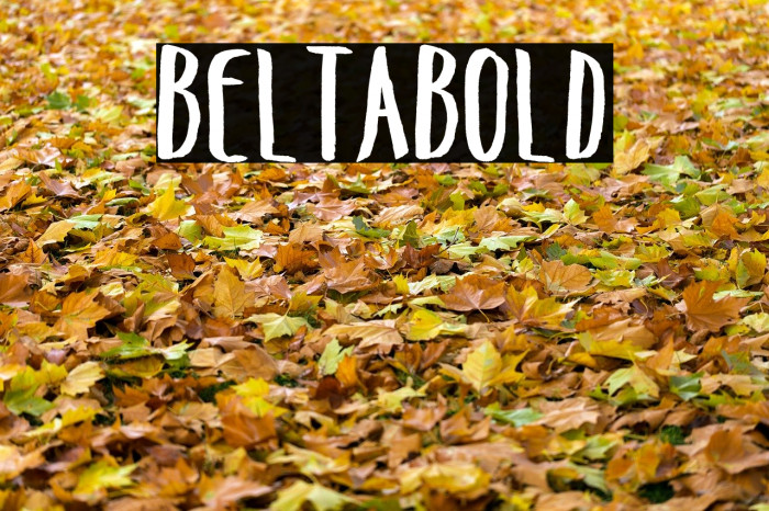 BeltaBold Font examples