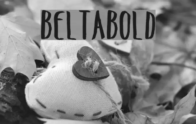 BeltaBold Font examples