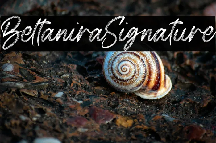 Beltanira Signature Example 1