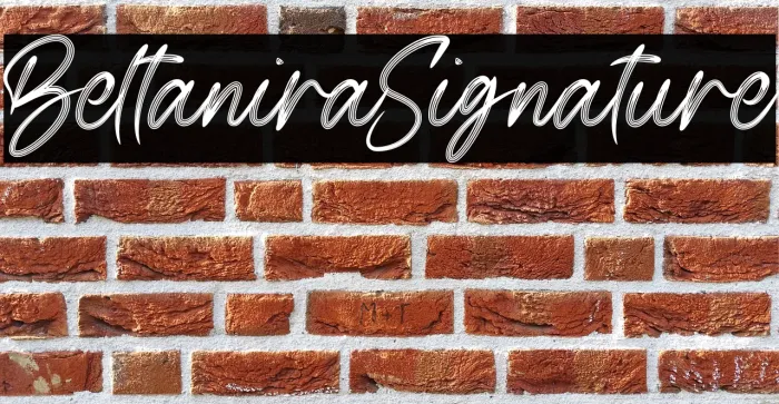 Beltanira Signature Example 2