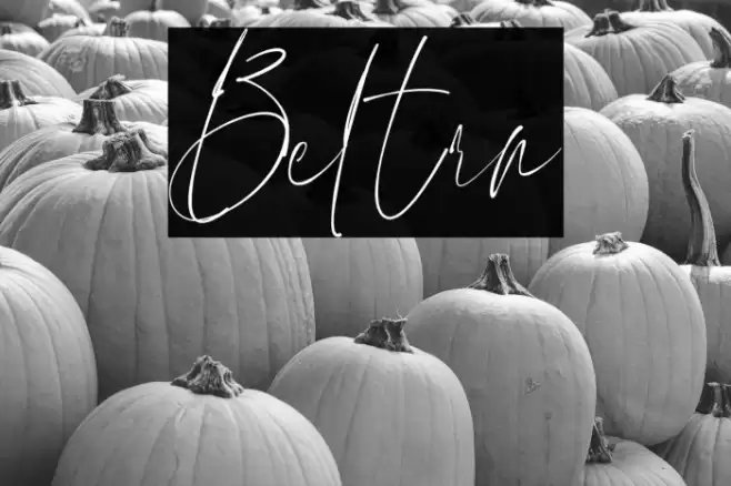 Beltra Font examples