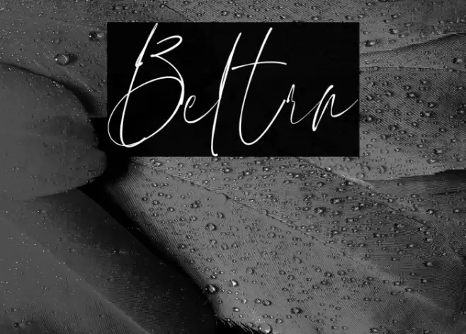 Beltra Font examples
