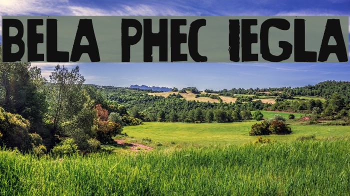 Beltway Prophecy Irregular Font examples