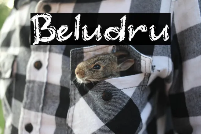 Beludru Example 2