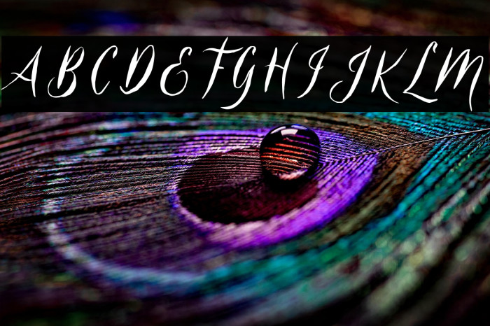 Belukar DEMO Example 1