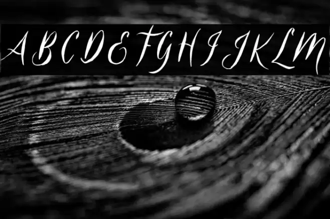 Belukar DEMO Font examples