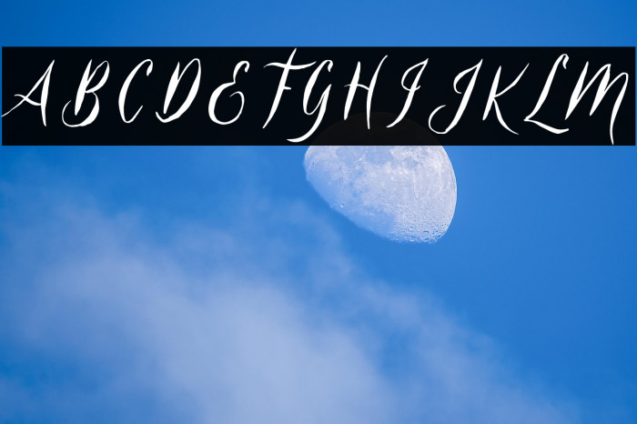 Belukar DEMO Example 2