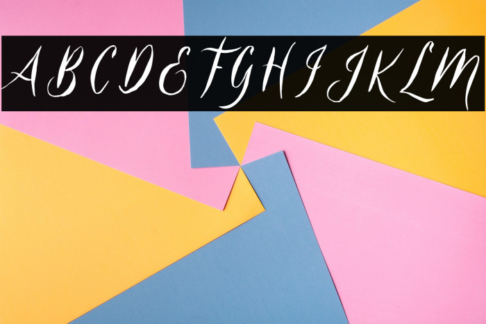 Belukar DEMO Example 3