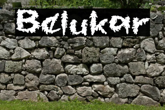 Belukar Example 2