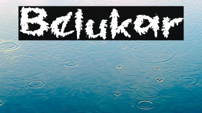 Belukar Example 3