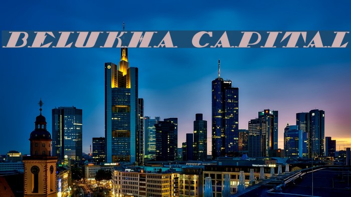 Belukha Capital Example 2