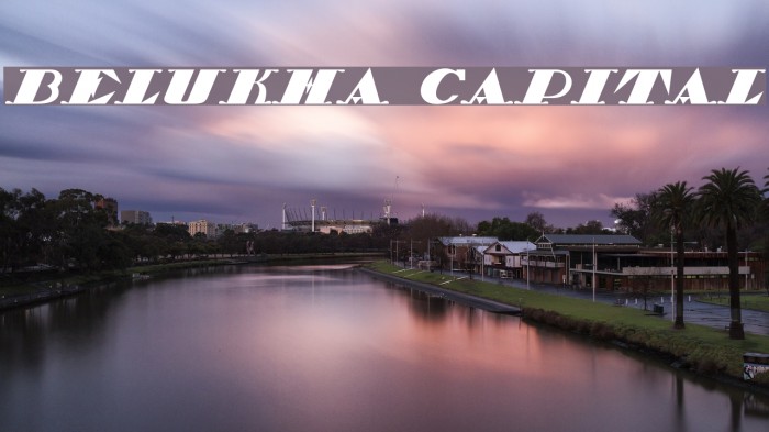 Belukha Capital Example 3