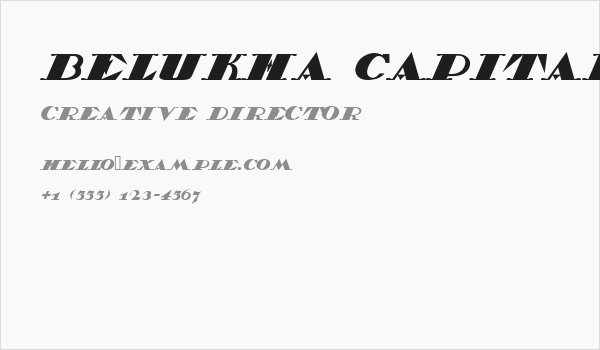 Belukha Capital Business Card