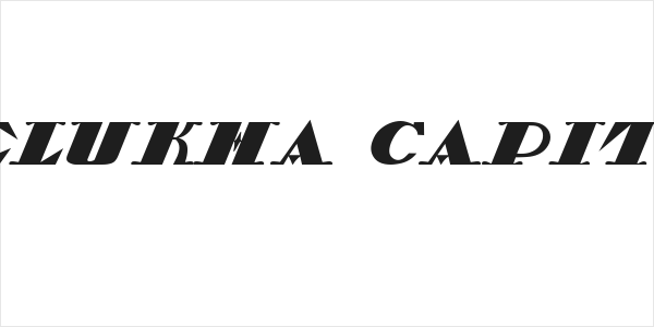 Belukha Capital Logo
