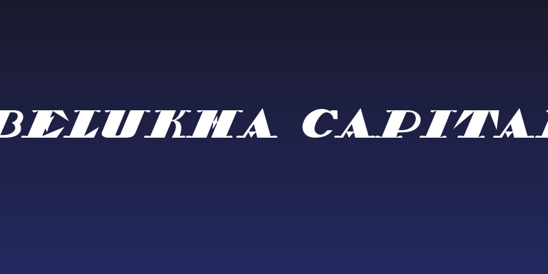 Belukha Capital Social Header