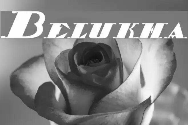 Belukha Font examples