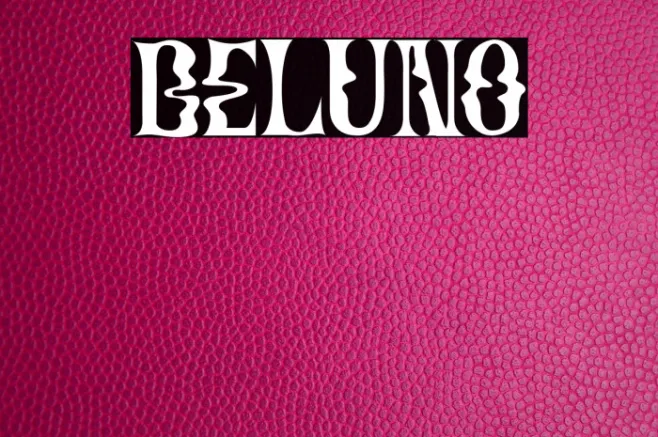 Beluno Example 2