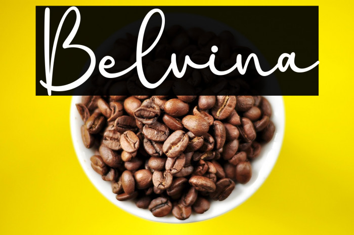 Belvina Example 1