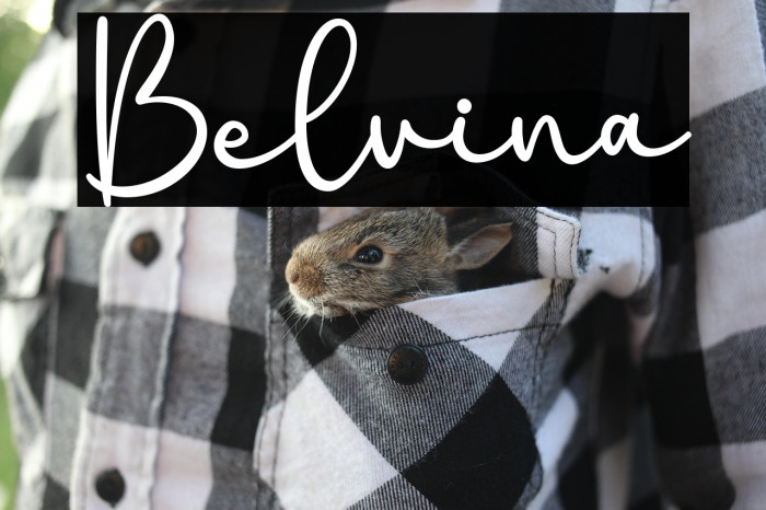 Belvina Example 2