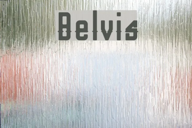 Belvis Example 1