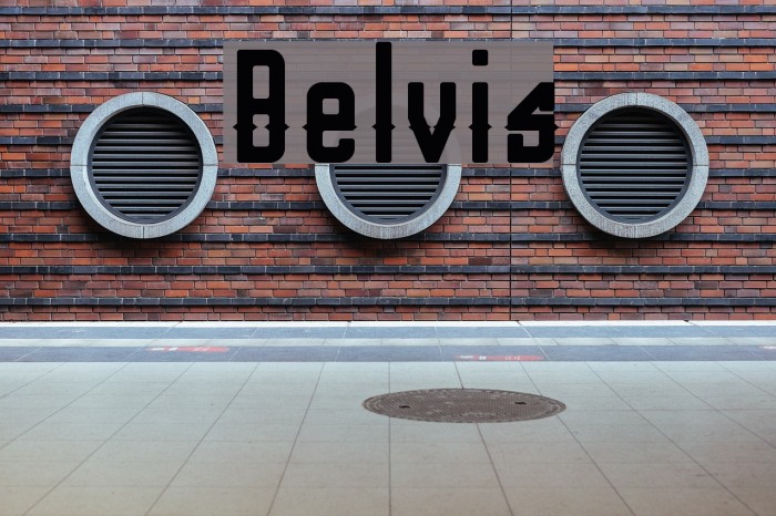 Belvis Font examples