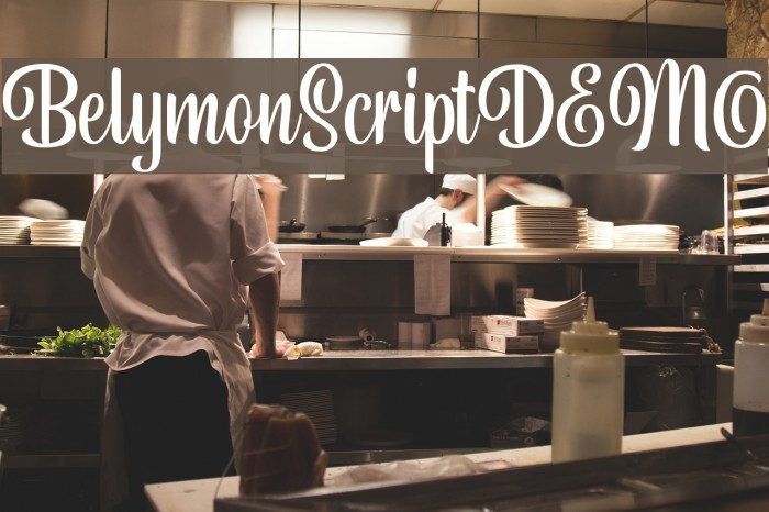 BelymonScriptDEMO Example 1