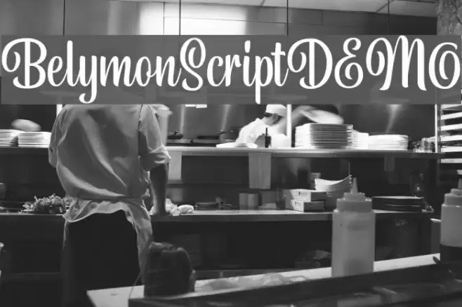 BelymonScriptDEMO Font examples